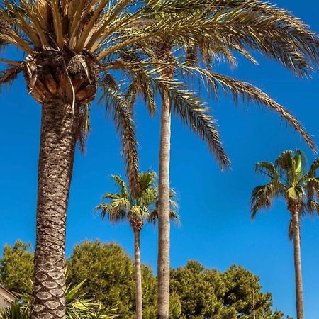 Bonito Apartamento Con Terraza, Jardin Y Piscina Cala en Bosch Εξωτερικό φωτογραφία
