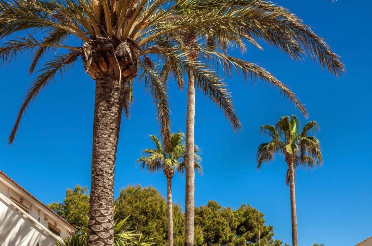 Bonito Apartamento Con Terraza, Jardin Y Piscina Cala en Bosch Εξωτερικό φωτογραφία